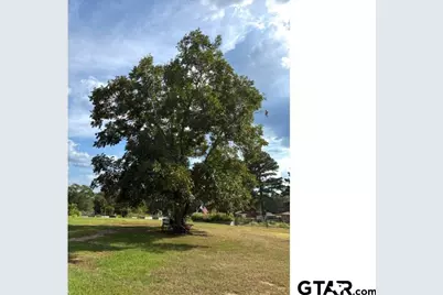 11408 County Road 3168, Winona, TX 75792 - Photo 33