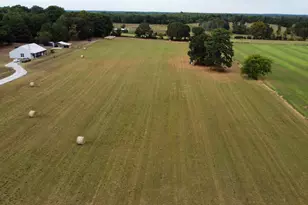 1813 E Hwy 154, Quitman, TX 75783 - Photo 3