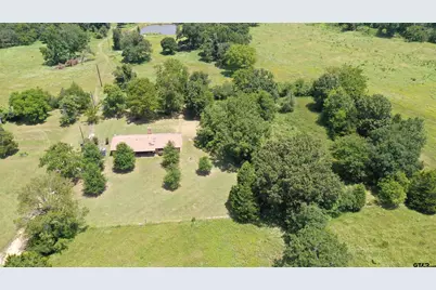 9976 State Hwy 64, Ben Wheeler, TX 75754 - Photo 11