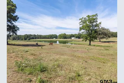 23888 County Road 2110, Troup, TX 75789 - Photo 41