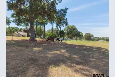 23888 County Road 2110, Troup, TX 75789 - Photo 37