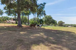 23888 County Rd 2110, Troup, TX 75789 - Photo 37