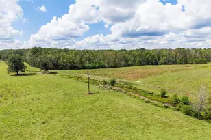 Tbd Anderson Cr 3592, Palestine, TX 75803 - Photo 15