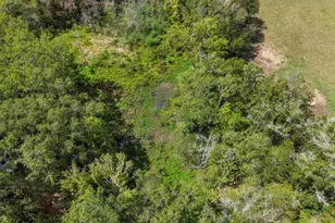 Tbd Anderson Cr 3592, Palestine, TX 75803 - Photo 9