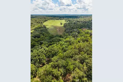 Tbd Anderson Cr 3592, Palestine, TX 75803 - Photo 19