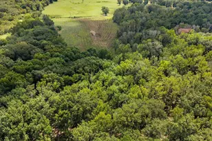 Tbd Anderson Cr 3592, Palestine, TX 75803 - Photo 19