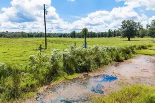 Tbd Anderson Cr 3592, Palestine, TX 75803 - Photo 13