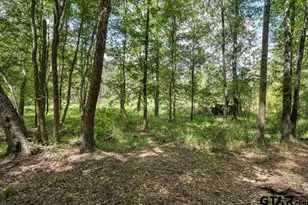 Tbd Anderson Cr 3592, Palestine, TX 75803 - Photo 21