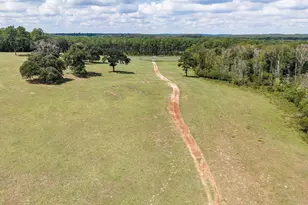 Tbd Anderson Cr 3592, Palestine, TX 75803 - Photo 17