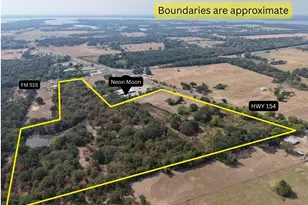 4732 Tx Hwy 154, Yantis, TX 75497 - Photo 1