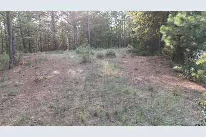 Tbd County Road 3470, Hawkins, TX 75765 - Photo 13