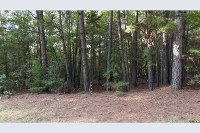 Tbd County Road 3470, Hawkins, TX 75765 - Photo 11