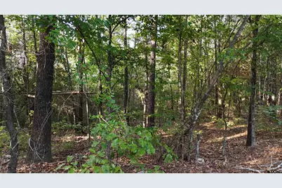 Tbd County Road 3470, Hawkins, TX 75765 - Photo 7