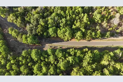 Tbd County Road 3470, Hawkins, TX 75765 - Photo 5