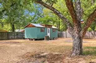 100 Mahan, Pittsburg, TX 75686 - Photo 47