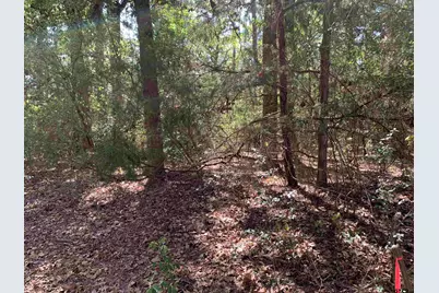 115 Private Road 7533, Hawkins, TX 75765 - Photo 5