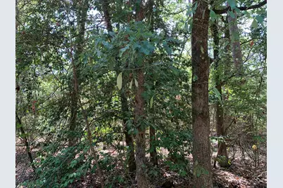 115 Private Road 7533, Hawkins, TX 75765 - Photo 3