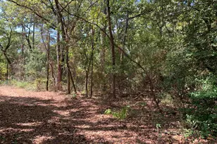 115 Private Rd 7533, Hawkins, TX 75765 - Photo 1
