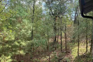 105 Larchwood Path, Holly Lake Ranch, TX 75765 - Photo 29