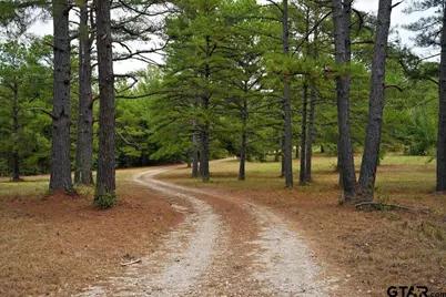 448 County Road 3955, Mineola, TX 75773 - Photo 37