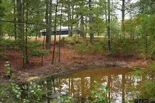 448 Co Rd 3955, Mineola, TX 75773 - Photo 41