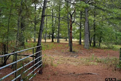 448 County Road 3955, Mineola, TX 75773 - Photo 39