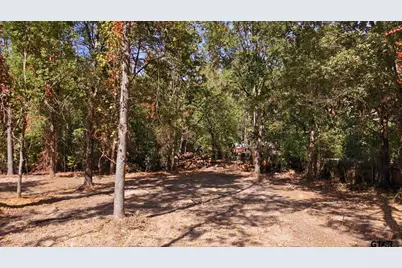 Tbd Cr 474, Lindale, TX 75771 - Photo 3