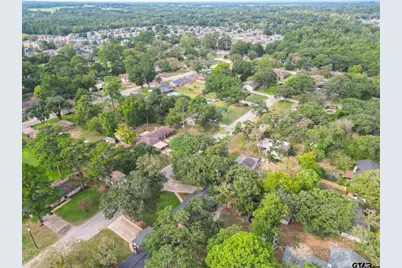 3698 Holly Ln, Flint, TX 75762 - Photo 45