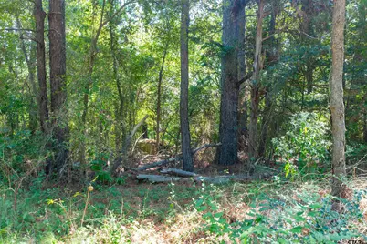 13234 Mountain View Rd S, Winona, TX 75792 - Photo 3