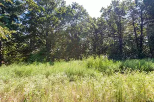 13234 Mountain View Rd S, Winona, TX 75792 - Photo 1