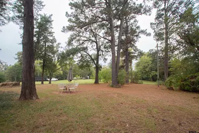 13240 Cr 353, Winona, TX 75792 - Photo 29