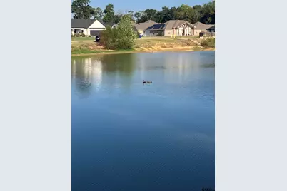 226 Toro Dr, Winona, TX 75792 - Photo 21