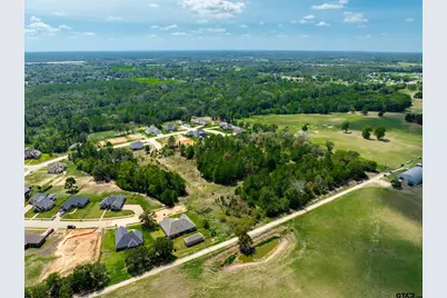 0 C R 463 (5.485 Ac), Lindale, TX 75771 - Photo 3