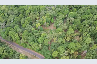 1688 Cr 1597, Avinger, TX 75630 - Photo 5