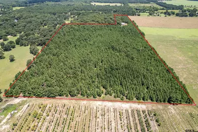 25325 County Road 462, Mineola, TX 75773 - Photo 13