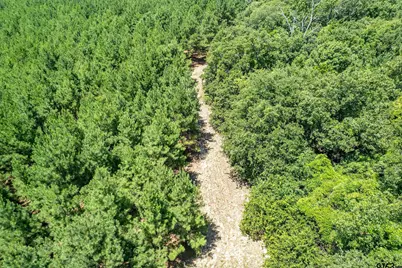 25325 County Road 462, Mineola, TX 75773 - Photo 9