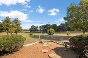 4251 S Fm 3310, Henderson, TX 75654 - Photo 35