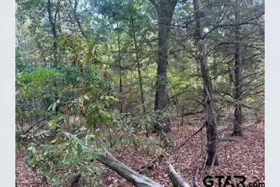 13284 Fm 2015, Tyler, TX 75708 - Photo 15