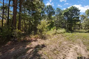16543 Cr 3147, Tyler, TX 75706 - Photo 41