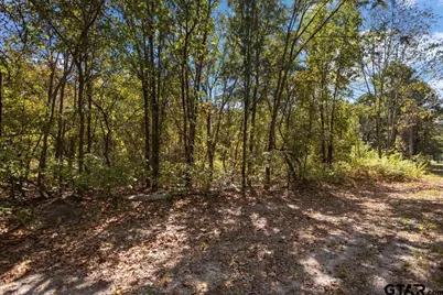 16543 Cr 3147, Tyler, TX 75706 - Photo 39