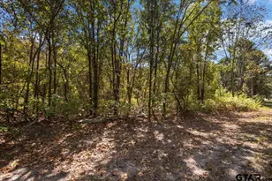 16543 Cr 3147, Tyler, TX 75706 - Photo 39