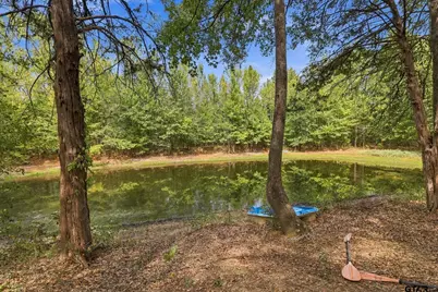 14118 C R 471, Tyler, TX 75706 - Photo 35