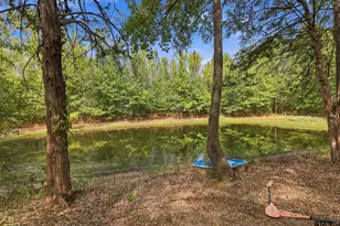 14118 C R 471, Tyler, TX 75706 - Photo 35