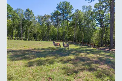 13127 S County Road 246, Arp, TX 75750 - Photo 45