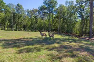 13127 S County Road 246, Arp, TX 75750 - Photo 45