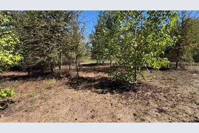 920 County Road 1226, Quitman, TX 75783 - Photo 3
