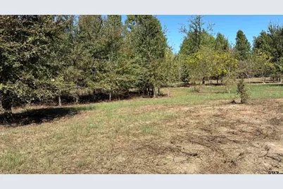 920 County Road 1226, Quitman, TX 75783 - Photo 11