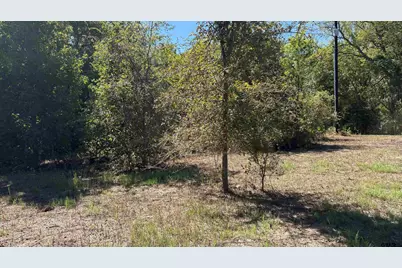 920 County Road 1226, Quitman, TX 75783 - Photo 13