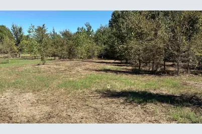 920 County Road 1226, Quitman, TX 75783 - Photo 7