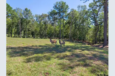 13127 S Cr 246, Arp, TX 75750 - Photo 45